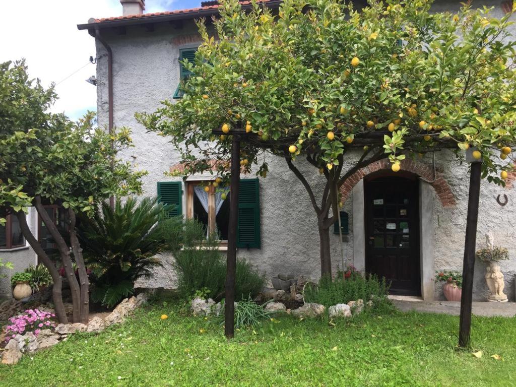 Agriturismo I Lamoi Finale Ligure Exterior photo